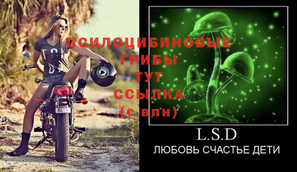 PSILOCYBIN Нефтекумск