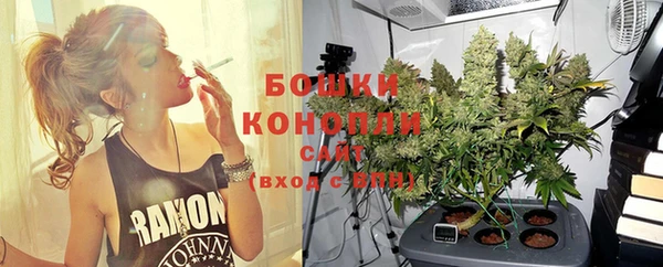 PSILOCYBIN Нефтекумск