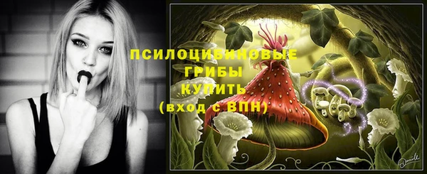 PSILOCYBIN Нефтекумск