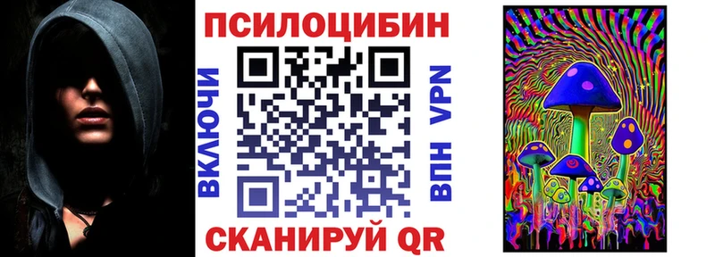Псилоцибиновые грибы Psilocybe  мега вход  Новотитаровская 